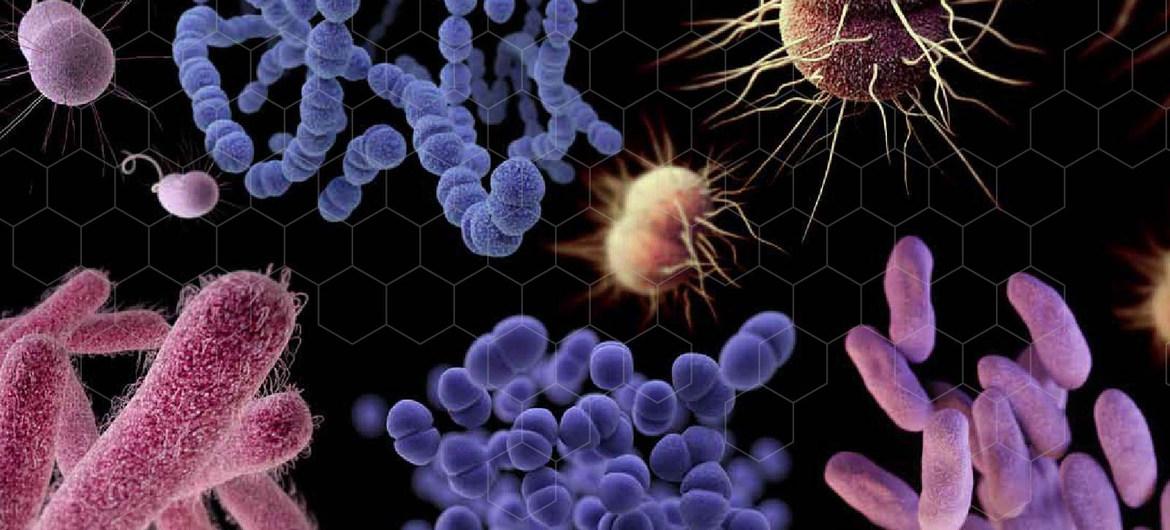 CDC, WHO, antibiotic, bacteria