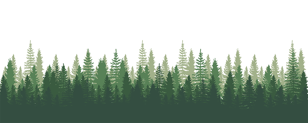 forests