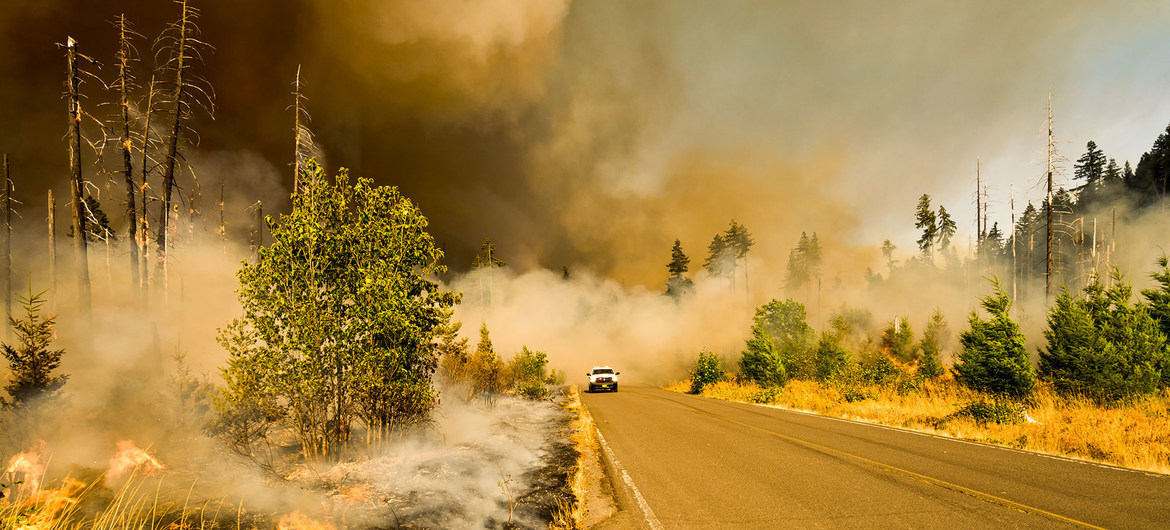 wildfire, climate change, Oregon, heat wave
