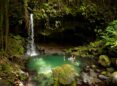 Dominica, tourism, environment